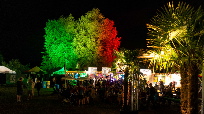 Reeds Festival 2026 Seequai Pfäffikon Zh Tickets