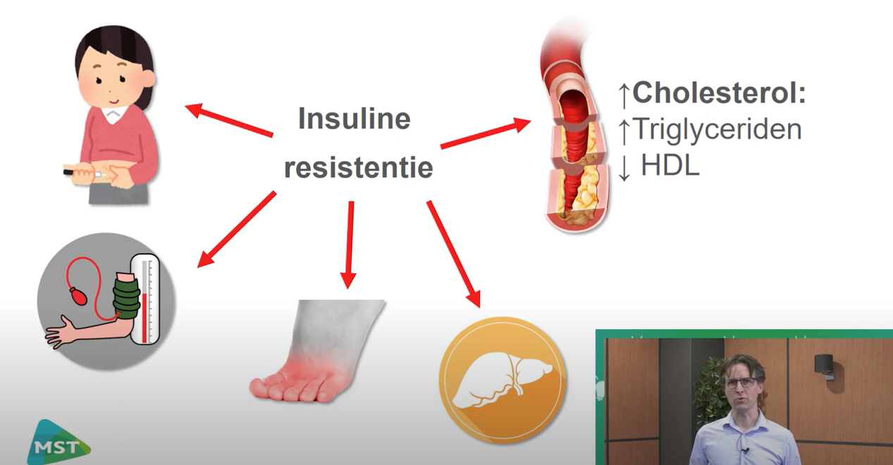 Insuline resistentie Presentatie met Internist Mattijs Out