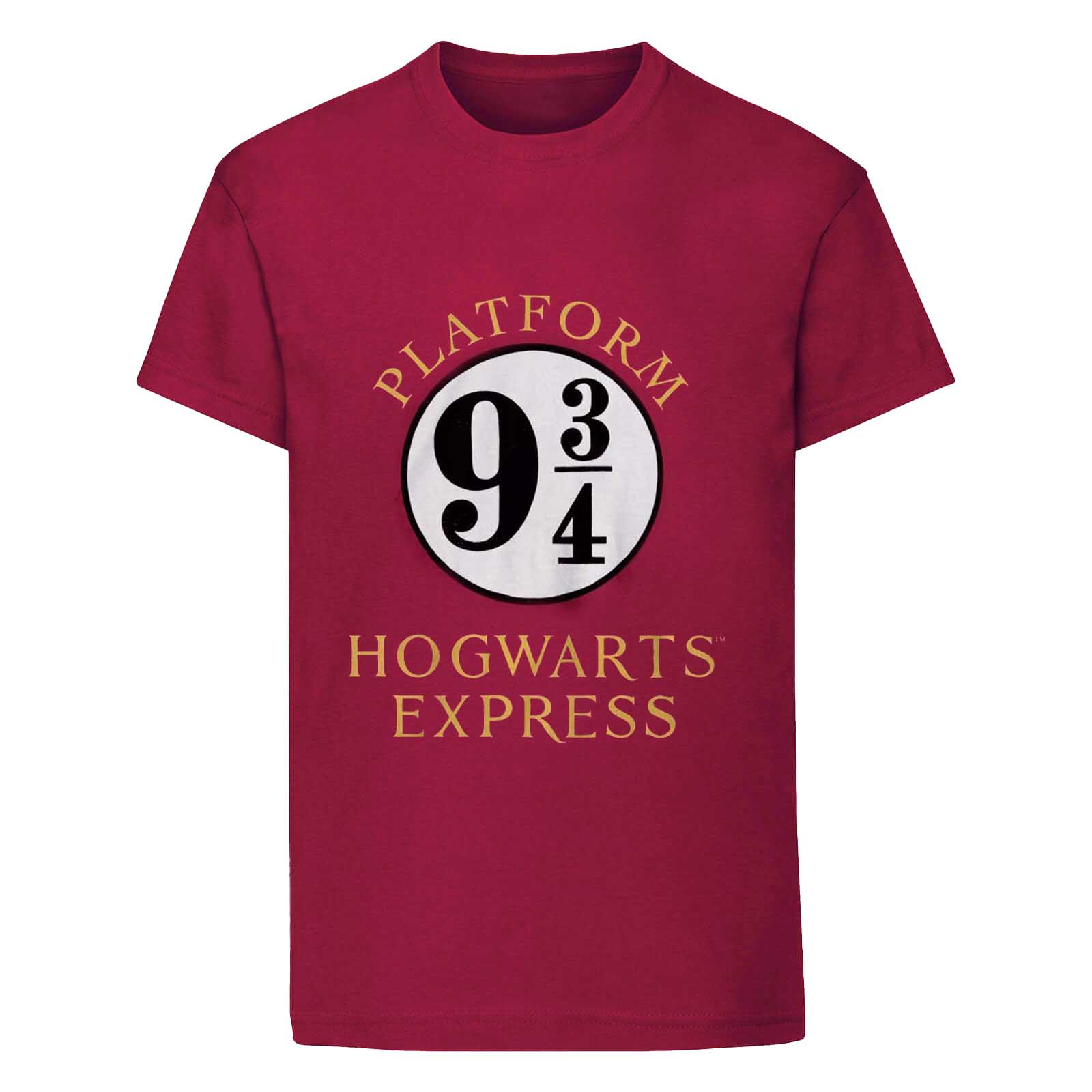 Harry Potter Childrens/Kids Hogwarts Express T-Shirt (12-13 Years) (Maroon)