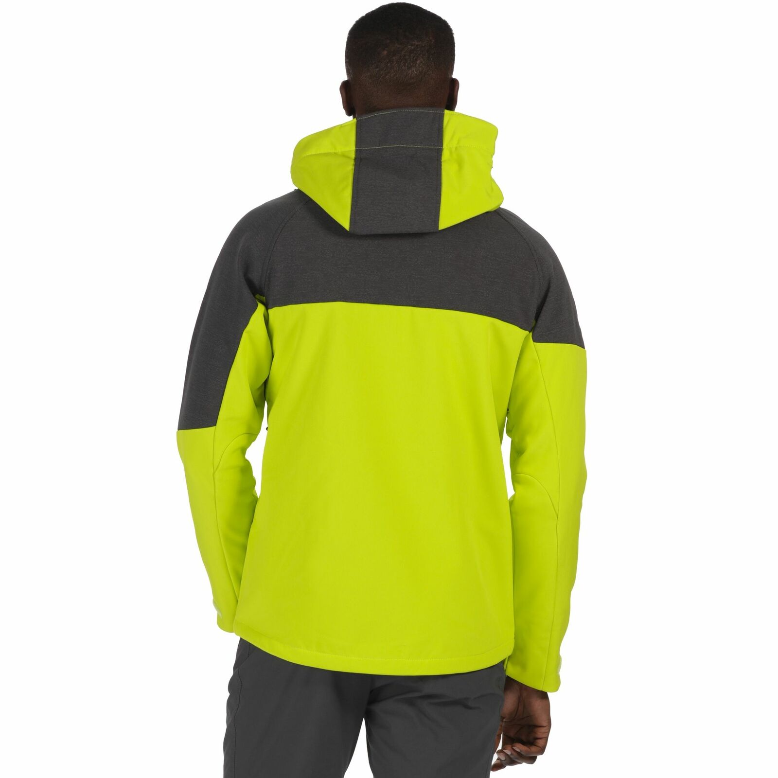 Regatta Mens Hewitts III Softshell Regatta Mens Hewitts III Softshell