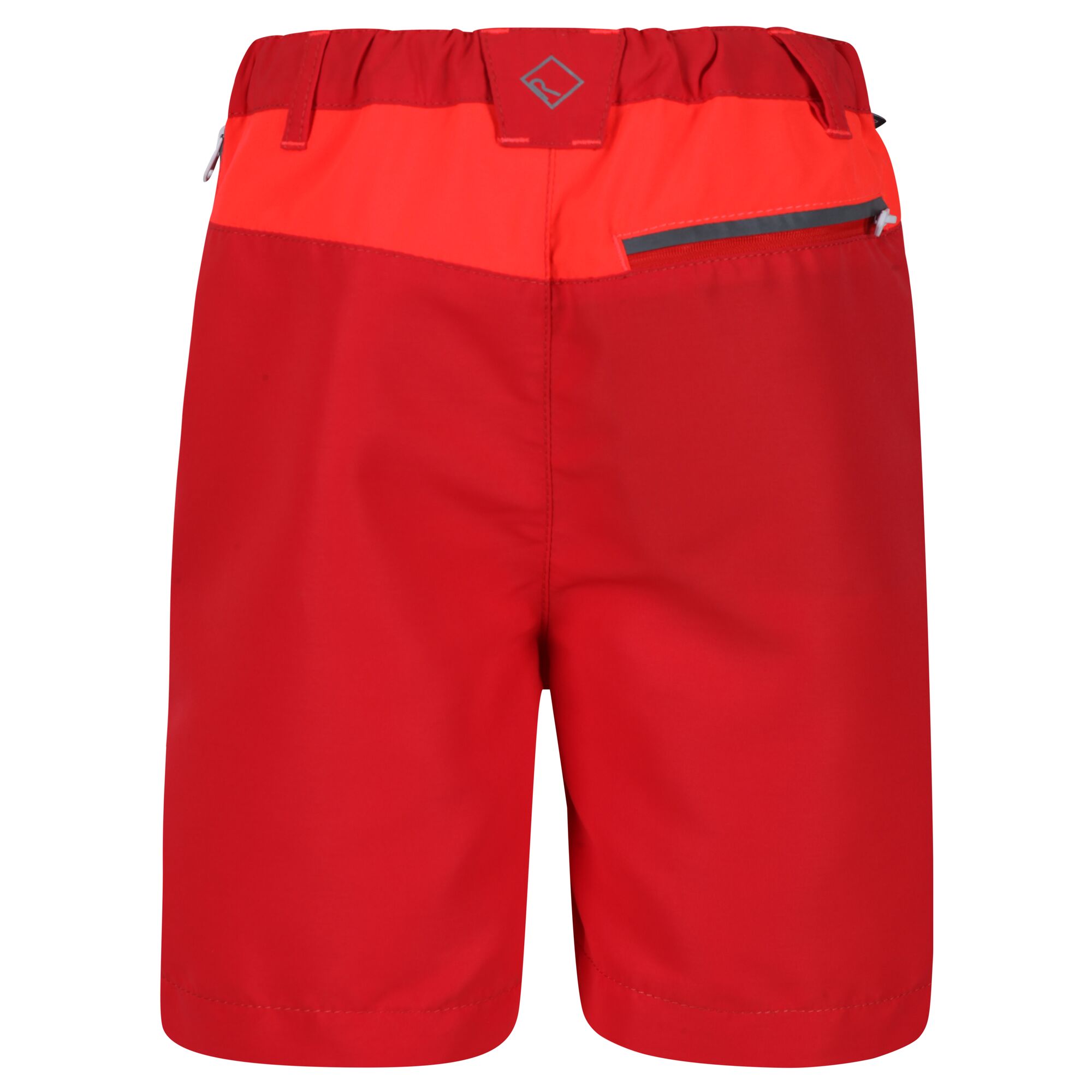 Regatta Sorcer Mountn Short Enfant