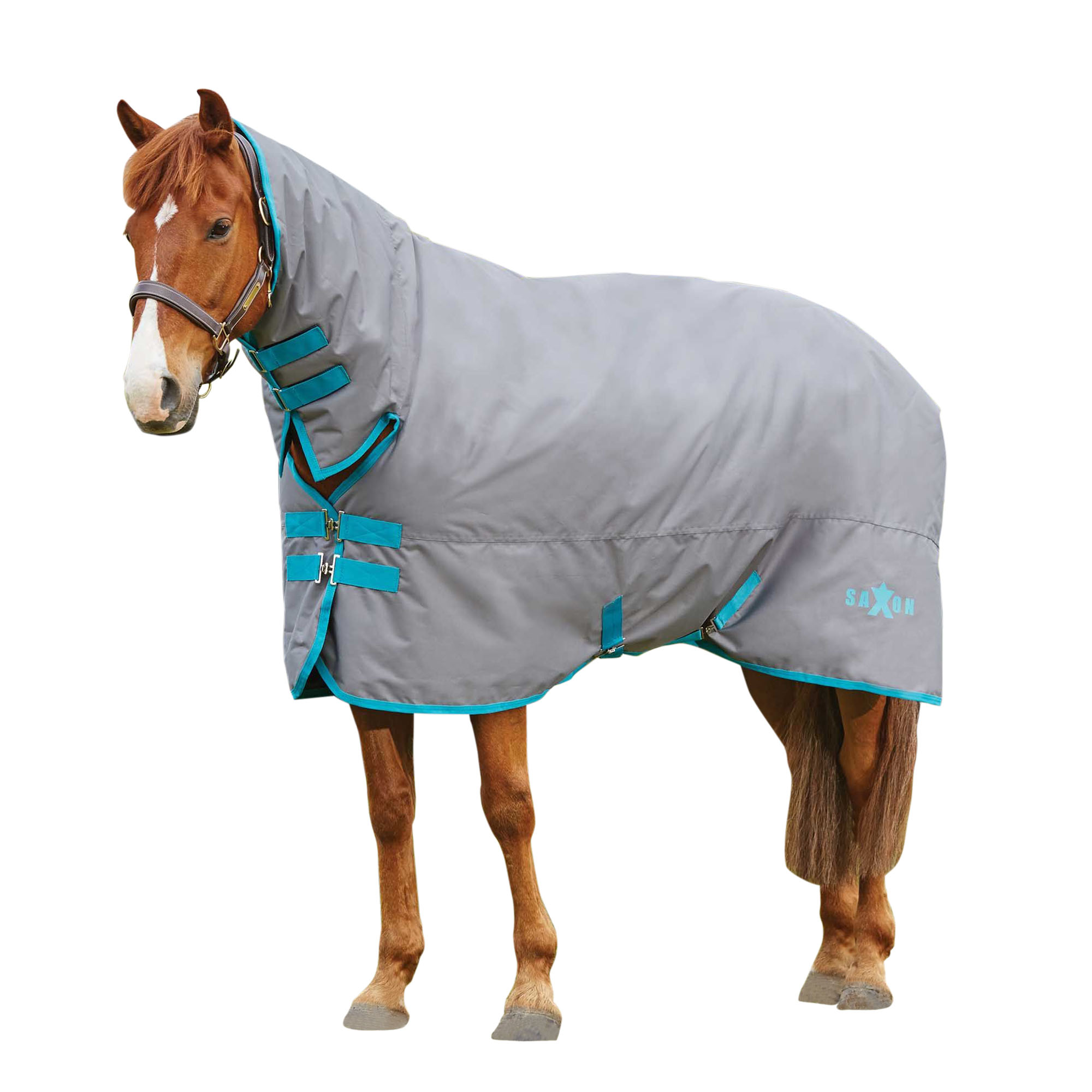 Saxon 600d Combo Neck Medium IV Turnout Blanket (WB408) eBay