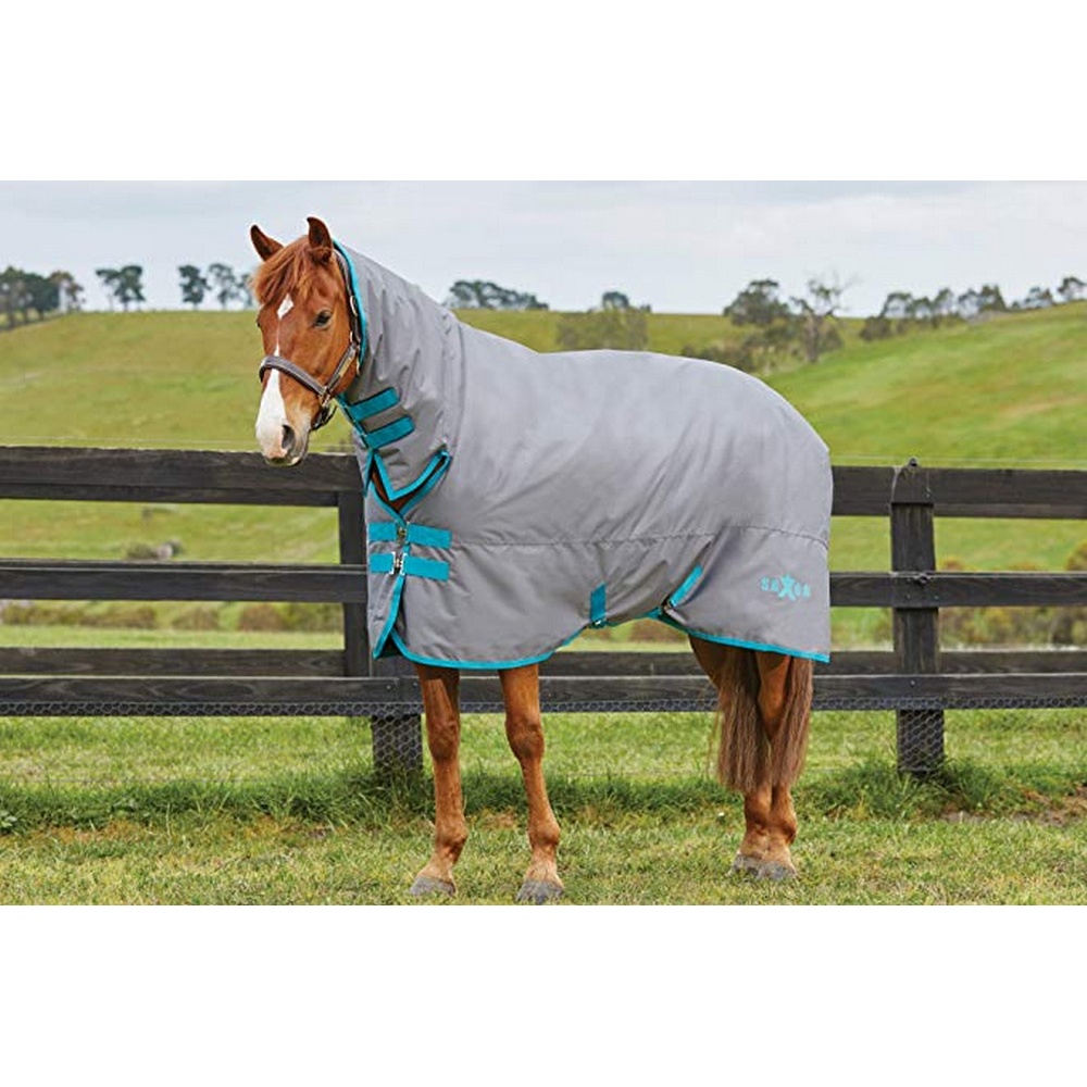 Saxon 600d Combo Neck Medium IV Turnout Blanket (WB408) eBay