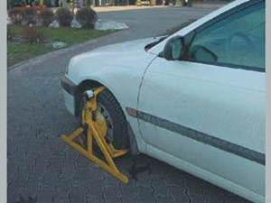 Picture 9