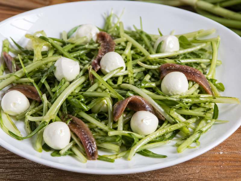 Puntarelle con acciughe e mozzarelle