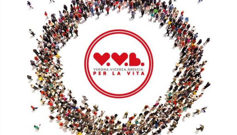 Vvb