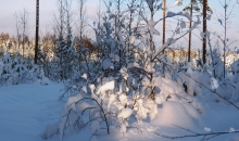 Žīguri 15. - 18. decembrī