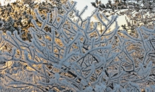 Ziemas meklējumi. Ķemeru tīrelis. 30.12.2015.