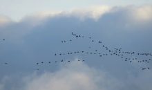 Septembra atvadu sveicieni