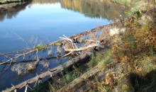 Zelta rudens Gaujas krastos