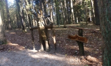 Pavasarīgais rudens Tērvetē.