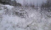 10. janvāris Saulkrastu pludmalē.