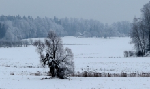 Zilpelēki sarmotā.
