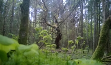 Dažādas Latvijas vietas maijā
