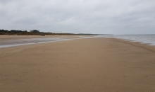 Jūra atkāpjas Vecāķos un mola ronis