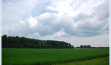 Negaiss 31.05. Jaunpils nov. Viesatu pag.