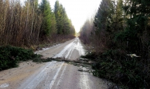14. decembris