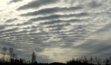 Pavasara diena.