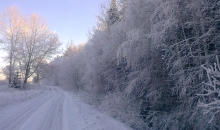 Ranka, 27. janvāris.