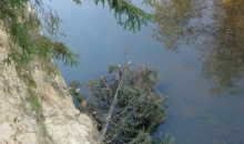 Zelta rudens Gaujas krastos