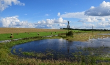 Applūduši Allaži (bez sēnēm) :)))