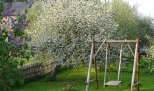 Lietus un ābeļziedu laiks