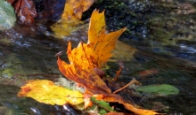 Septembra atvadu sveicieni