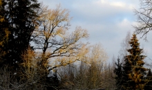Svētki turpinās