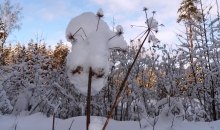 Žīguri 15. - 18. decembrī