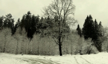 Februāris sākas "pareizi":).
