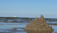 Neliels ieskats jūlijā un augustā