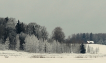 Februāris sākas "pareizi":).