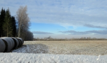 Pūpolsvētdiena.