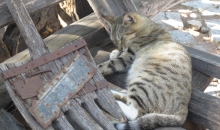 Vidusjūras iespaidi_2