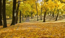 Zelta rudens 2015