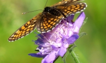 Negaisiņš "savilkās" :).