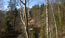 Ranka (Gauja) - 2014.03.11.