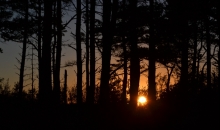 Papes brīvdienas (pirmā diena).