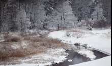 Pirmais sniegs 2014.11.21