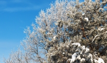 Viļakā pirms puteņiem (8. - 9. decembris)