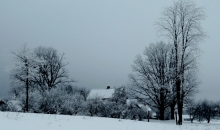 Zilpelēki sarmotā.