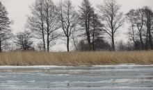 Pavasarīga pēcpusdiena Ventspils pusē