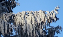 3S (Sals, saule, sarma).