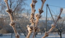 Jaunā gada iesākums foto