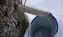 Sarmotais 7. aprīlis.