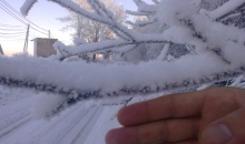 Ranka, 27. janvāris.