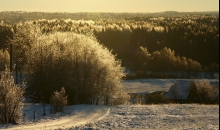 Gauja.