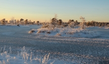 Ziemas meklējumi. Ķemeru tīrelis. 30.12.2015.