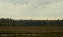 Diena bez lietus.
