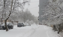 Puteņa biļete Rīgai... 04.01.2017.